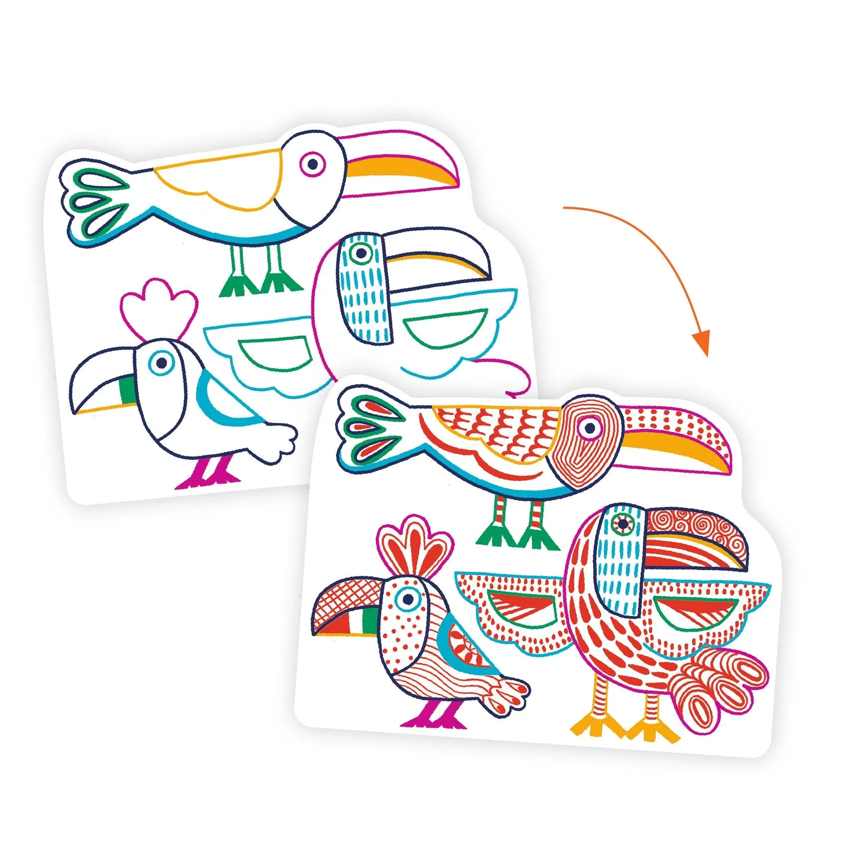 Colour Reveal Pictures - Wild Families